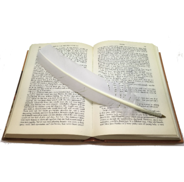 "Quill" Feather Pen: White