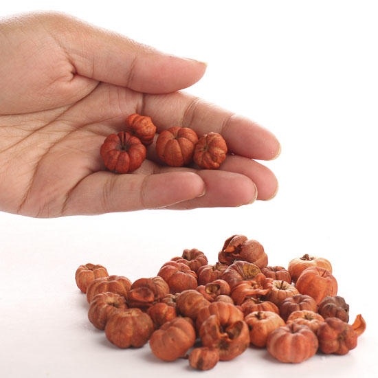 KIT Mayflower Pilgrims John Alden & Priscilla