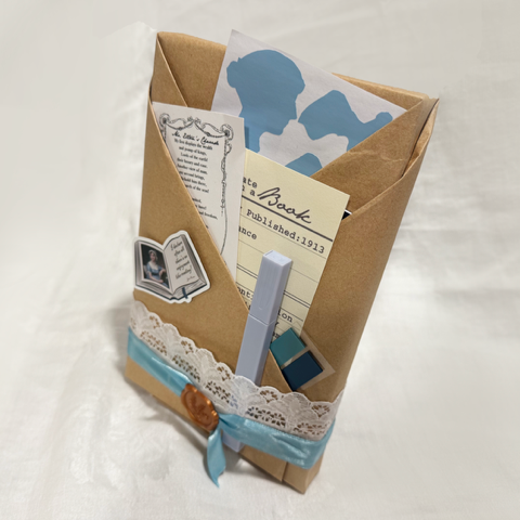 Jane Austen Gift: Blind Date with a Book by Austentation!