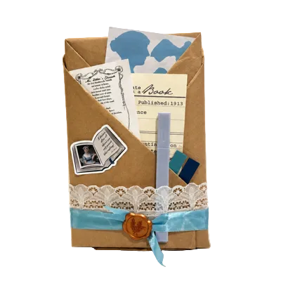 Jane Austen Gift: Blind Date with a Book by Austentation!