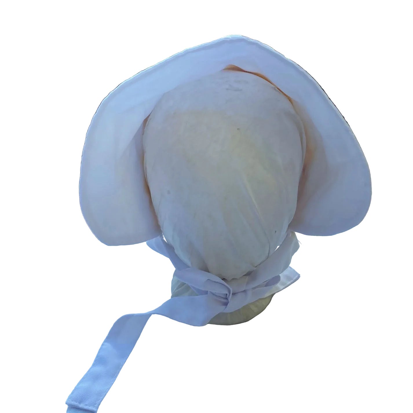 Prairie Bonnet from the front
